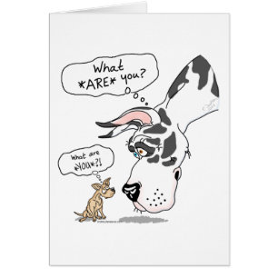 Cartão Great Dane e Chihuahua Harlequin