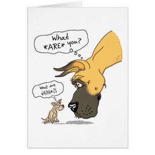 Cartão Great dane & jovem corça da chihuahua