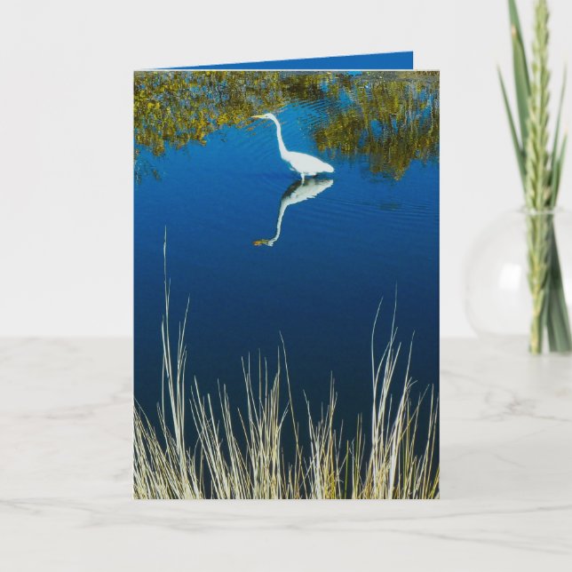 Cartão Great Egret #2 Greeting Card (Frente)