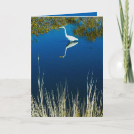 Cartão Great Egret #2 Greeting Card