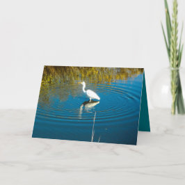 Cartão Great Egret #3 Greeting Card