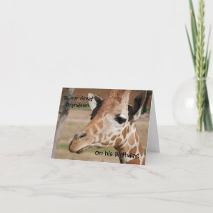 Cartão Great Grandson Birthday Card with Giraffe