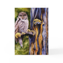 Great Gray Owl, Greeting Card