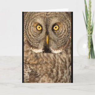 Cartão Great grey Owl greeting card