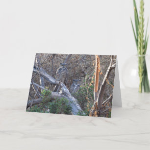 Cartão Great Horned Owl
