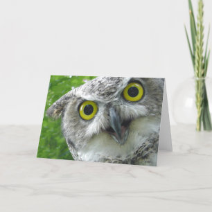 Cartão Great-Horned Owl