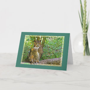 Cartão Great Horned Owl All-Purpose Greeting Card
