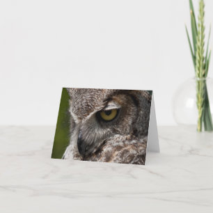 Cartão Great Horned Owl (Bubo virginianus) notecard