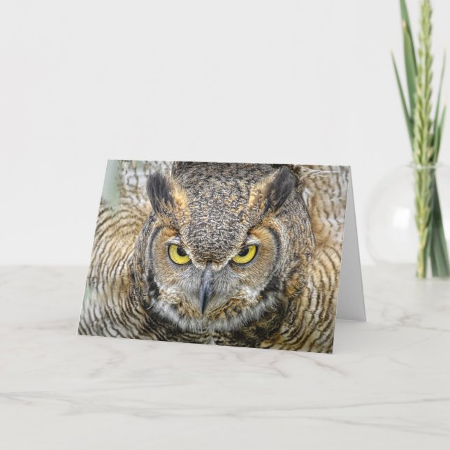 Cartão Great Horned Owl Following Eyes (Frente)