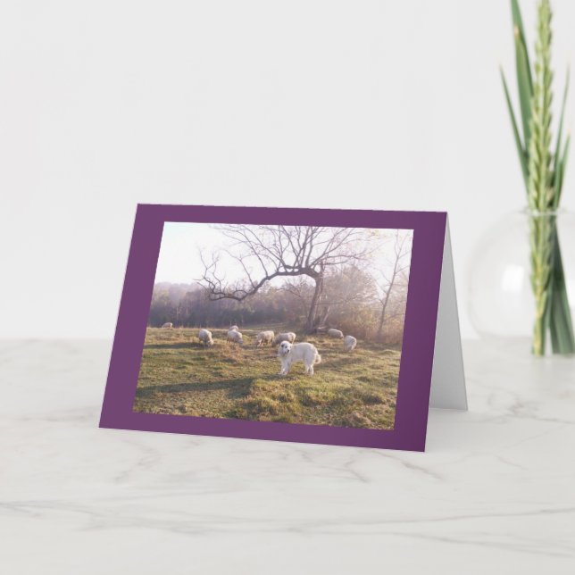 Cartão Great Pyr and Flock (Frente)