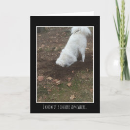 Cartão Great Pyrenees