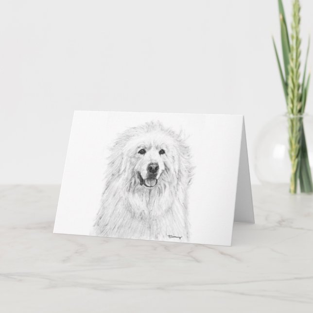 Cartão Great Pyrenees Drawing (Frente)