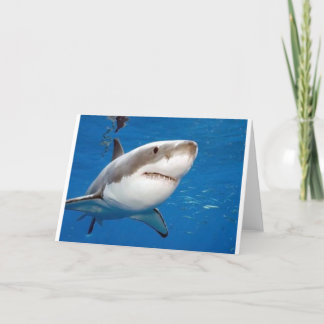 Cartão Great White Shark