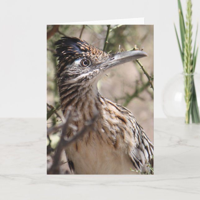 Cartão Greater Roadrunner Greeting Card (Frente)
