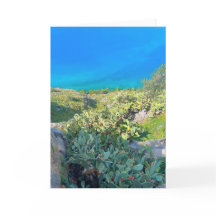 Grécia Cactus Nafplion