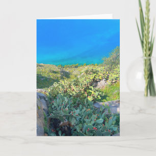 Cartão Grécia Cactus Nafplion