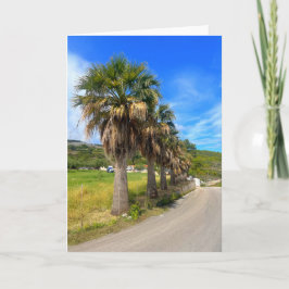 Cartão Grécia Palm Trees Zakynthos