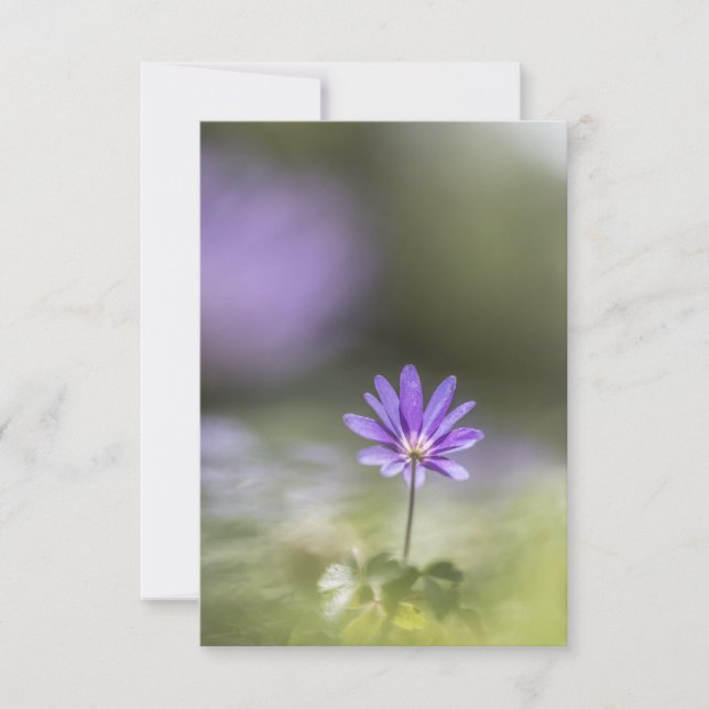 Cartão Grecian winflower Nature Foto (Frente)