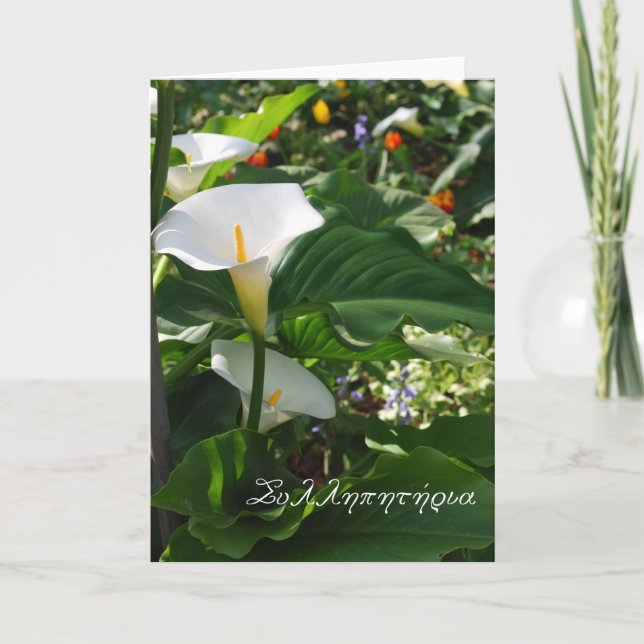 Cartão Greek sympathy card with white calla lillies (Frente)