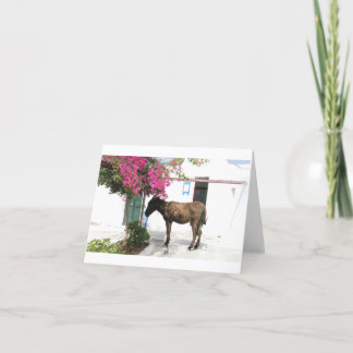 Cartão GreekIslandHouse.com Donkey Mascot Opa!