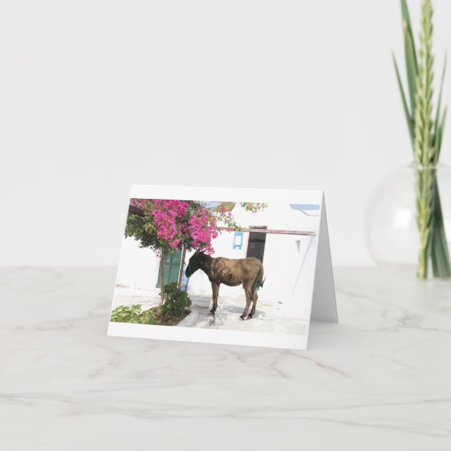 Cartão GreekIslandHouse.com Donkey Mascot Opa! (Frente)