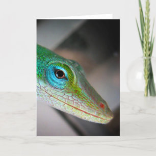 Cartão Green Anole Lizard