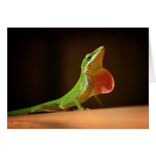 Cartão Green Anole Lizard com Thraot Vermelho