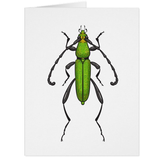 Cartão Green beetle (Frente)