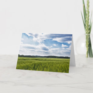 Cartão Green Cornfields and Blue Skies