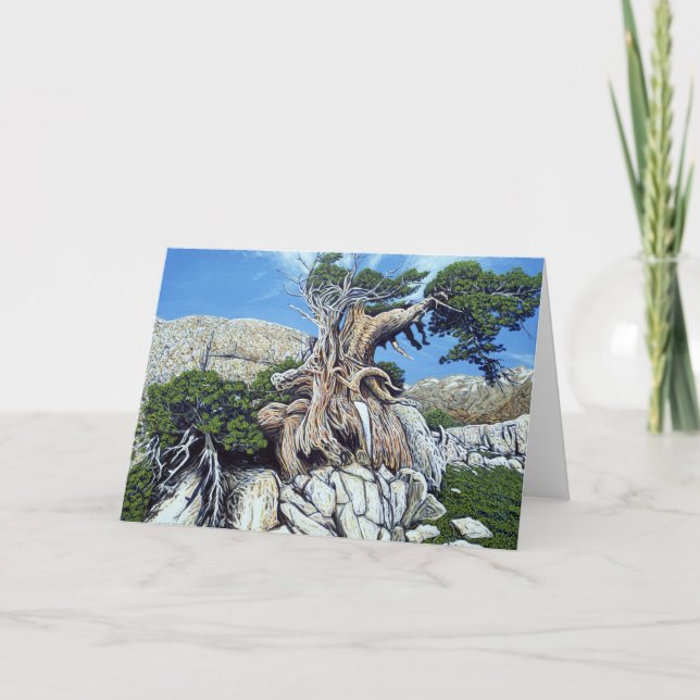 Cartão Green Creek Tree Card (Frente)
