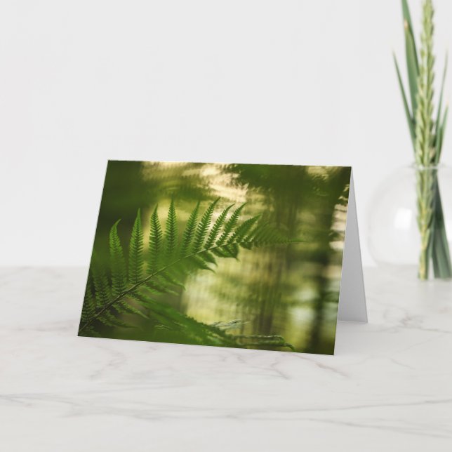 Cartão Green Fern Frond Nature Foto (Frente)