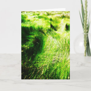 Cartão Green field - Greeting cards