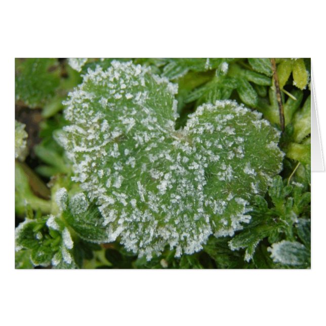 Cartão Green Icy Heart (Frente Horizontal)