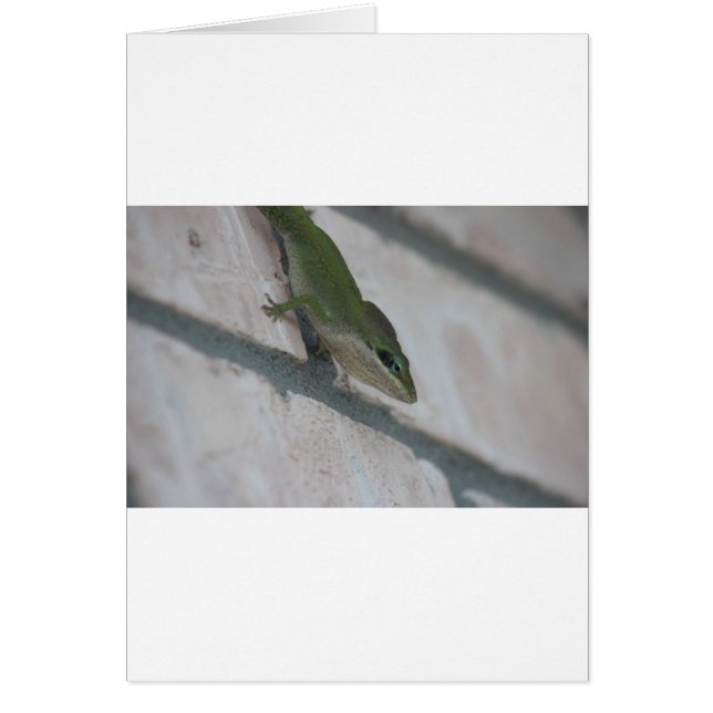 Cartão Green Lizard (Frente)