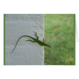 Cartão Green Lizard saindo