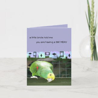 Cartão Green Parrot Birthday Greetings