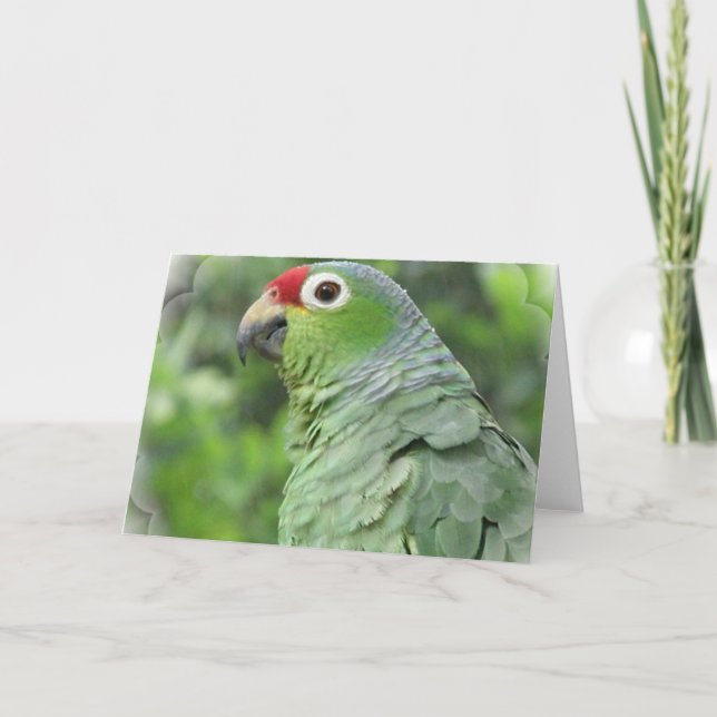 Cartão Green Parrot Greeting Card (Frente)