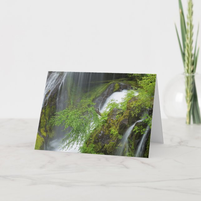 Cartão Green Waterfall Scenic (Frente)