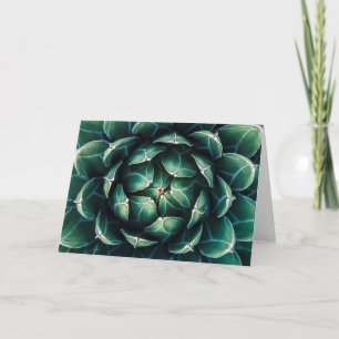 Cartão Green & White Succulent
