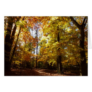 Cartão Greenbelt Park em outono II Cena Natural de Maryla