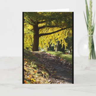 Cartão Greenwood Cemetery, Brooklyn, NY