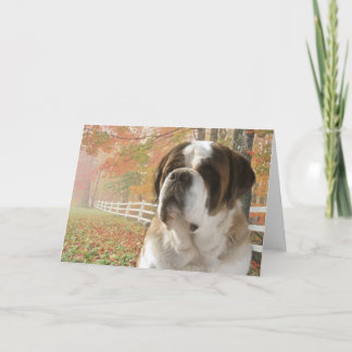 Cartão Greeting Card