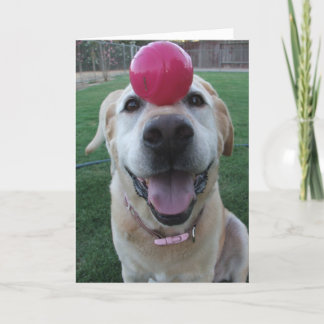 Cartão Greeting card