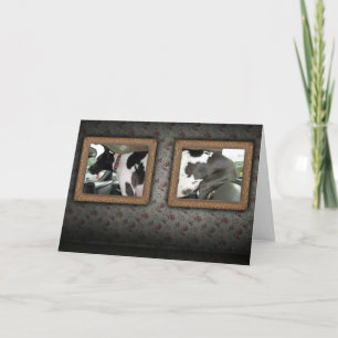 Cartão Greeting Card