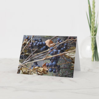 Cartão greeting card