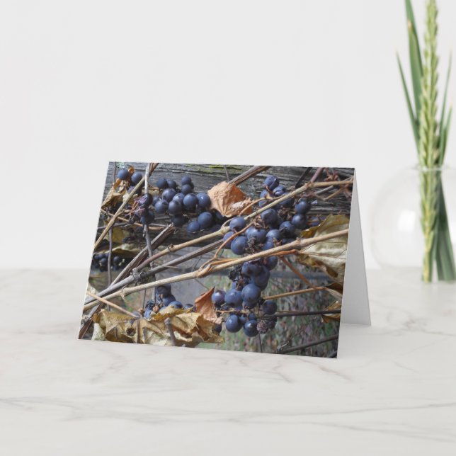 Cartão greeting card (Frente)