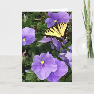 Cartão Greeting card