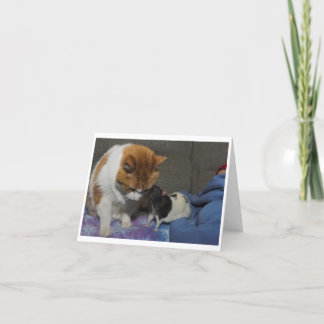 Cartão greeting card