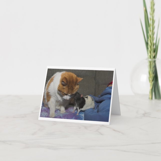 Cartão greeting card (Frente)