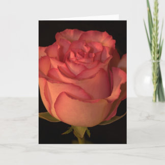 Cartão Greeting Card